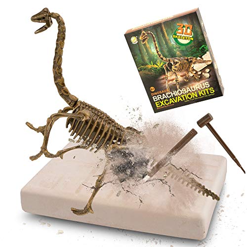 MUSCCCM Brachiosaurus Ausgrabungsset für Kinder, Dino Spielzeug, 3D-Skelett Dinosaur Modell Dino Ausgrabungsset, Dino Party Kindergeburtstag Spiele, Dino Geschenk Mitgebsel Kindergeburtstag Junge von MUSCCCM