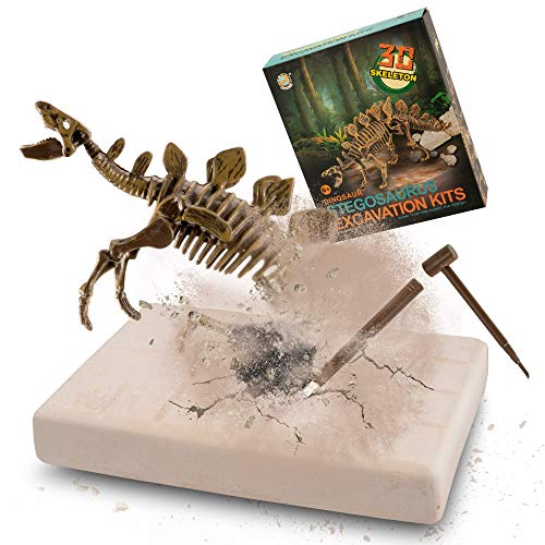 MUSCCCM Stegosaurus Ausgrabungsset für Kinder, Dino Spielzeug, 3D-Skelett Dinosaur Modell Dino Ausgrabungsset, Dino Party Kindergeburtstag Spiele, Dino Geschenk Mitgebsel Kindergeburtstag Junge von MUSCCCM