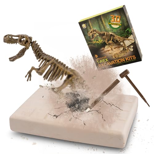 Tyrannosaurus Ausgrabungsset für Kinder, MUSCCCM Dino Spielzeug, 3D-Skelett Dinosaur Modell Dino Ausgrabungsset, Dino Party Kindergeburtstag Spiele, Dino Geschenk Mitgebsel Kindergeburtstag Junge von MUSCCCM