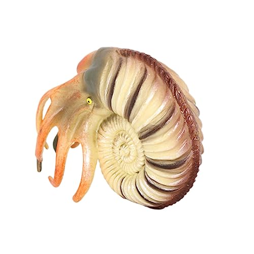 MUSISALY Muschel Spielzeug Ornament Dinosaurier-Party Meerestierfigur Meerestiermodell Mini-Nautilus-skulptur Tiefseetier Schalentier Figur Schalentier Spielzeug Muschelskulptur Plastik von MUSISALY