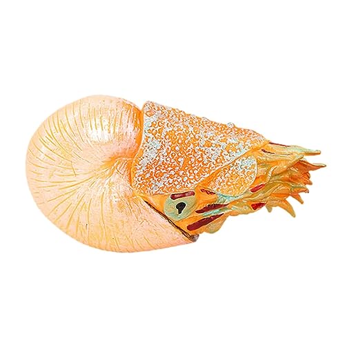 MUSISALY Nautilus-Modell Aus Kunststoff Realistische Meerestier-Figur Für Aquarium-Dekoration Und Tischdekoration von MUSISALY