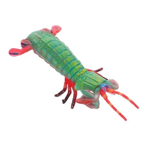 MUSISALY Realistisches Mantisgarnele Modell Tierfigur für Pädagogisches Kleine Tierfiguren Lernspielzeug Meerestiere Simulation von MUSISALY