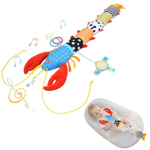 Hummermodell Baby Plüschspielzeug, Babyspielzeug Lernspielzeug Für Neugeborene Jungen und Mädchen 0–12 Monate Babygeschenke Für Babyparty, Babygeburtstag (Farbe) von MUSUNFE