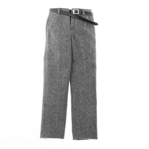 MXRGUMVI 1/6 Maßstab Herrenhose, Anzughose, Kleidung, passend für 30,5 cm große Actionfigur, Grau von MXRGUMVI