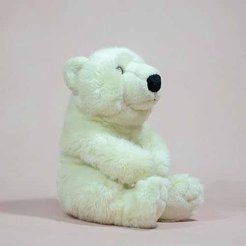 MZICXV 10,2" Eisbär Plüschtier, Sitzender ausgestopfter Eisbär, realistisches Eisbär Plüschtier MZICXV 10,2" Eisbär Plüschtier, Sitzender ausgestopfter Eisbär, realistisches Eisbär Plüschtier von MZICXV