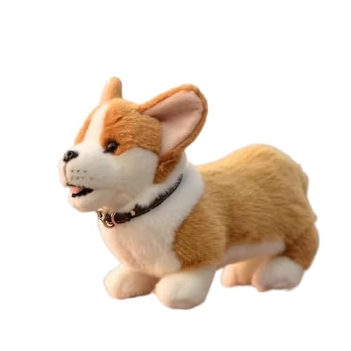 MZICXV 10" Realistisches Corgi-Plüschtier, weicher, ausgestopfter walisischer Corgi-Welpe, süßes Hundeplüschtier(49CM) von MZICXV