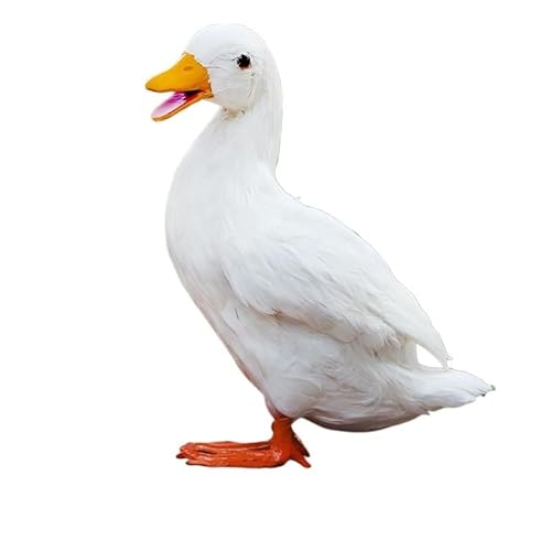 MZICXV 11,8" Realistische Entenfigur, handgefertigte Vogelstatue aus Kunstfedern, Heim- und Gartendekoration(White) von MZICXV