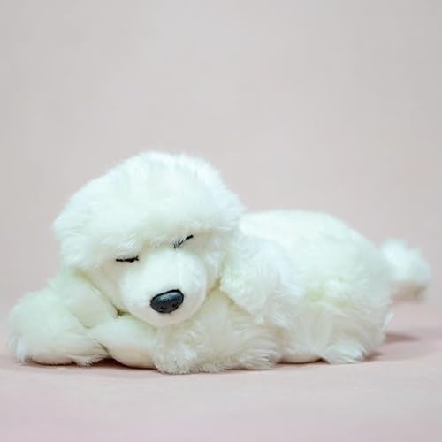 MZICXV 12" Liegender schlafender Pudel Plüschtier, weißer weicher Pudelwelpe, süßes Hundeplüschtier MZICXV 12" Liegender schlafender Pudel Plüschtier, weißer weicher Pudelwelpe, süßes Hundeplüschtier von MZICXV