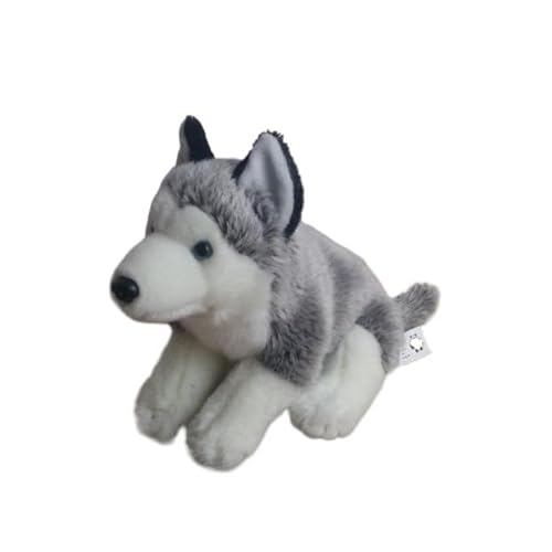 MZICXV 13,8" Realistisches Siberian Husky Plüschtier, Sitzendes Husky Stofftier, Weicher Hundeplüsch MZICXV 13,8" Realistisches Siberian Husky Plüschtier, Sitzendes Husky Stofftier, Weicher Hundeplüsch von MZICXV