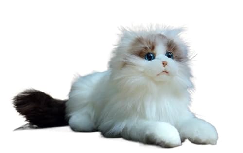 MZICXV 14,2" Ragdoll-Plüschtier, realistisches Plüschhaar, weiches und kuscheliges Kätzchen-Plüschtier mit blauen Augen MZICXV 14,2" Ragdoll-Plüschtier, realistisches Plüschhaar, weiches und kuscheliges Kätzchen-Plüschtier mit blauen Augen von MZICXV