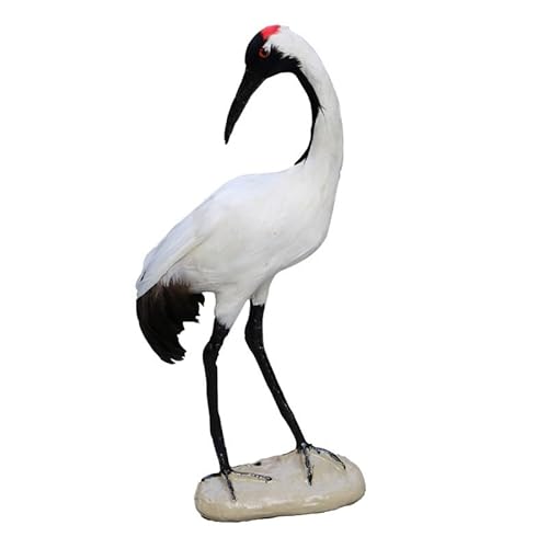 MZICXV 14,2 Zoll große, realistische Mandschurenkranich-Figur, Vogelstatue aus Kunstfedern, leichte Heimdekoration (Grus japonensis) von MZICXV