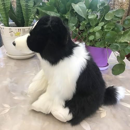 MZICXV 14,6" realistisches Border Collie-Plüschtier, weiches schwarz-weißes Hunde-Stofftier MZICXV 14,6" realistisches Border Collie-Plüschtier, weiches schwarz-weißes Hunde-Stofftier von MZICXV