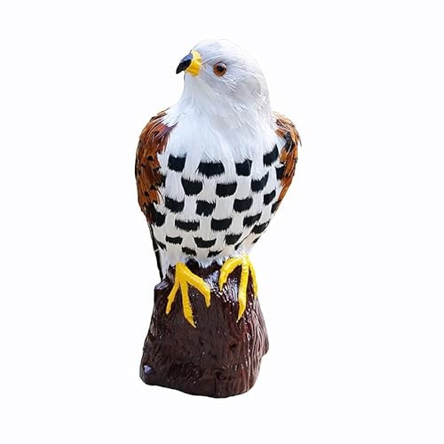MZICXV 15,4" Realistische Falkenfigur, Vogelstatue aus Kunstfedern auf Sockel, Heimdekoration (Falco tinnunculus) von MZICXV