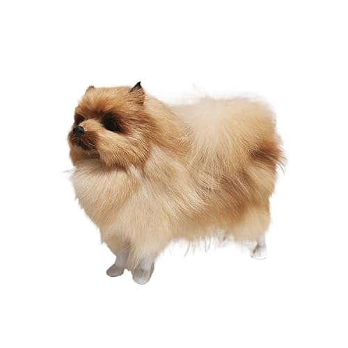 MZICXV 22 cm realistische Pommersche Hundefigur, Kunstfell/Leder & hohler Polyethylenkern, Wohndekoration, Geschenk(C) von MZICXV