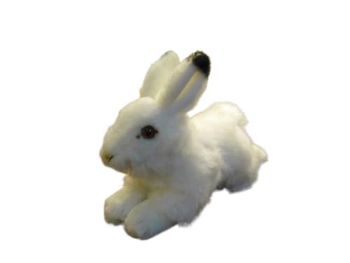 MZICXV 25 cm realistisches Plüschtier eines Polarhasen, ausgestopftes Schneehasentier (Lepus arcticus) von MZICXV