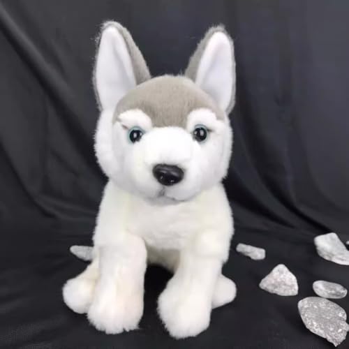 MZICXV 25 cm süßes Husky-Plüschtier, lebensechtes Stofftier MZICXV 25 cm süßes Husky-Plüschtier, lebensechtes Stofftier von MZICXV