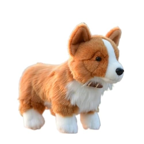 MZICXV 29,2 cm großes, realistisches Welsh Corgi-Plüschtier, weicher Corgi-Welpe, abnehmbares Halsband, maschinenwaschbar MZICXV 29,2 cm großes, realistisches Welsh Corgi-Plüschtier, weicher Corgi-Welpe, abnehmbares Halsband, maschinenwaschbar von MZICXV