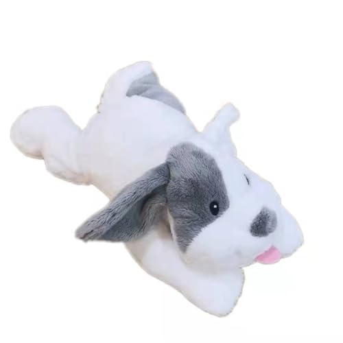 MZICXV 30 cm Simulation PP Baumwolle Grau und Weiß Welpe Plüschtier Weich und Niedlich Früherziehung Geschenk Home Decoration MZICXV 30 cm Simulation PP Baumwolle Grau und Weiß Welpe Plüschtier Weich und Niedlich Früherziehung Geschenk Home Decoration von MZICXV