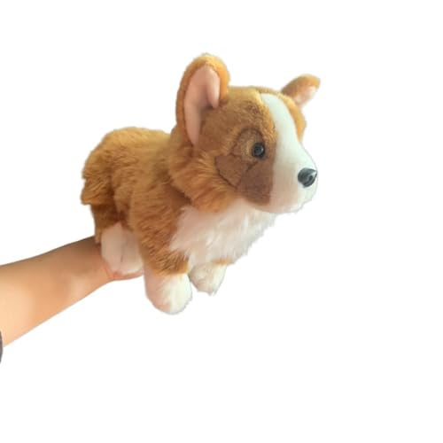 MZICXV 30 cm süßes Corgi-Plüschtier, lebensechtes Hunde-Kuscheltier for Geburtstagsgeschenke MZICXV 30 cm süßes Corgi-Plüschtier, lebensechtes Hunde-Kuscheltier for Geburtstagsgeschenke von MZICXV