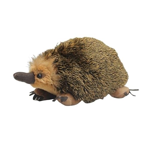 MZICXV 30 cm süßes Echidna-Plüschtier, realistisches Stofftier (Tachyglossidae) von MZICXV