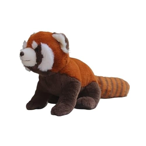 MZICXV 30 cm süßes Plüschtier des roten Pandas, realistisches Stofftier (Ailurus fulgens) von MZICXV