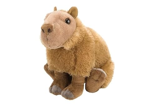 MZICXV 30cm Simulation PP Baumwolle Tier Capybara Plüsch Spielzeug Weich und Niedlich Früherziehung Geschenk Wohnmöbel von MZICXV