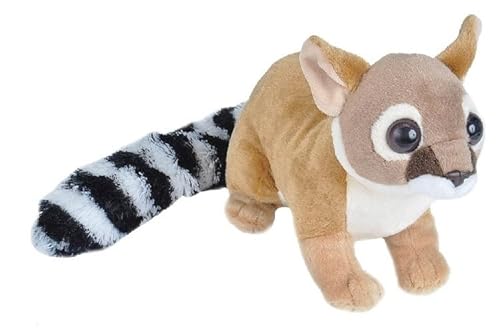MZICXV 30cm Simulierte Tier Waschbär Plüsch Spielzeug Weich Und Niedlich 's Früherziehung Geschenk Hause Dekoration von MZICXV