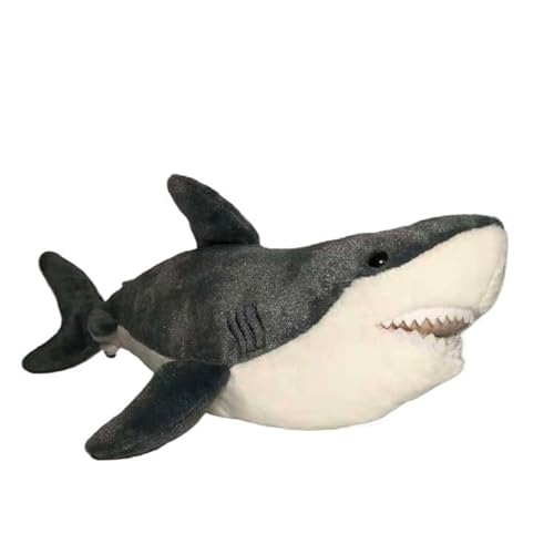 MZICXV 55 cm Simulation Ocean World Großer Weißer Hai Plüschtier Weich und süß Frühe Bildung Geschenk Heimtextilien MZICXV 55 cm Simulation Ocean World Großer Weißer Hai Plüschtier Weich und süß Frühe Bildung Geschenk Heimtextilien von MZICXV