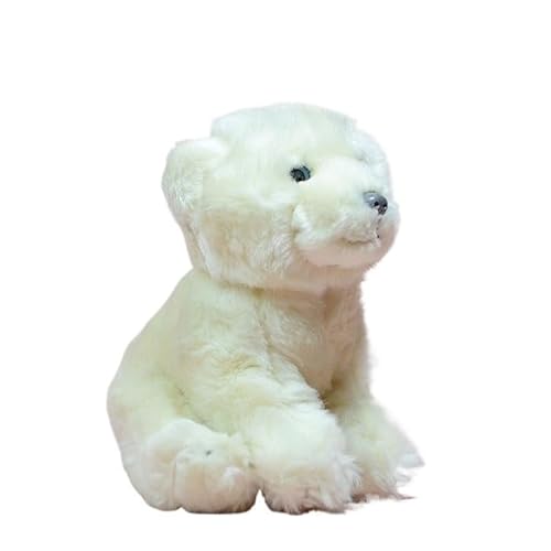 MZICXV 7" Sitzendes Eisbär-Plüschtier, weiches ausgestopftes Eisbärjunges, süßes und kuscheliges Eisbär-Plüschtier MZICXV 7" Sitzendes Eisbär-Plüschtier, weiches ausgestopftes Eisbärjunges, süßes und kuscheliges Eisbär-Plüschtier von MZICXV