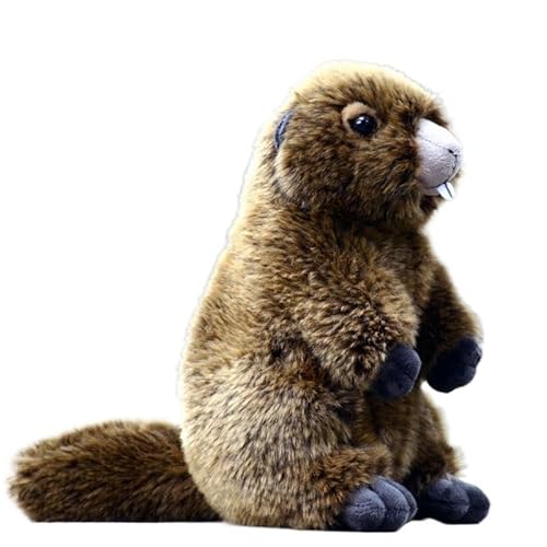 MZICXV 9,4" Murmeltier-Plüschtier, realistisches ausgestopftes Murmeltier, süßes Waldmurmeltier-Plüschtier mit Hasenzähnen (Marmota) von MZICXV
