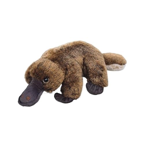 MZICXV 9,5" Platypus-Plüschtier, realistisches ausgestopftes Platypus, weiches und kuscheliges australisches Tierplüschtier (Ornithorhynchus anatinus) von MZICXV