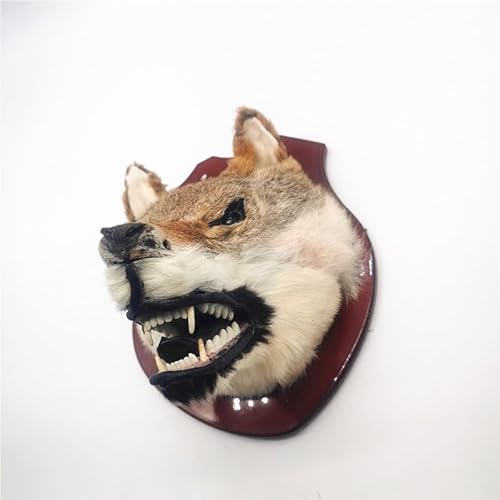 MZICXV 9,8" Realistischer Wolfskopf-Wanddekor, Kunsttierkopf-Halterung, Wandkunst mit Wildtier-Motiven MZICXV 9,8" Realistischer Wolfskopf-Wanddekor, Kunsttierkopf-Halterung, Wandkunst mit Wildtier-Motiven von MZICXV