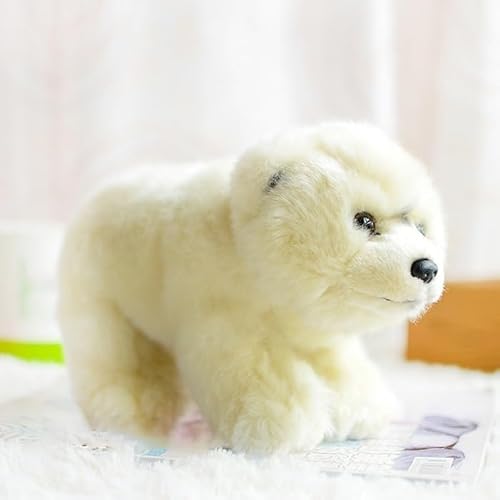 MZICXV 9,8" Realistisches Kermodebär-Plüschtier, Stofftier Weißer Geisterbär, weiches Plüschtier (Ursus americanus kermodei) von MZICXV