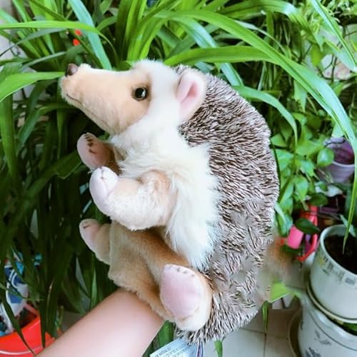 MZICXV 9,8" realistische Igel-Handpuppe, weiches Igel-Plüschtier for Bauchreden und Geschichtenerzählen MZICXV 9,8" realistische Igel-Handpuppe, weiches Igel-Plüschtier for Bauchreden und Geschichtenerzählen von MZICXV
