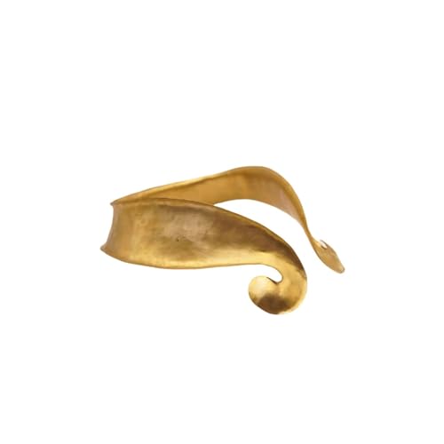 MZICXV Handgefertigter Halsschutz | Ringkragen | Historisches Rüstungszubehör for & Ausstellung | Metallhandwerk(D) von MZICXV