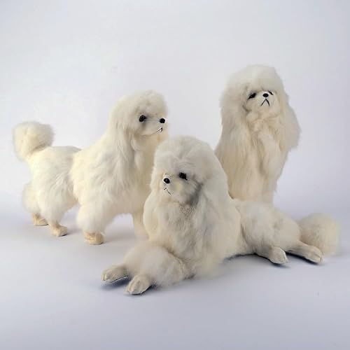 MZICXV Realistische Pudelfigur, weißes Pudel-Plüschtier, lebensechtes Hundemodell, Tiersammlerstück(A Complete Set) von MZICXV