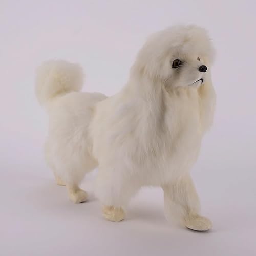 MZICXV Realistische Pudelfigur, weißes Pudel-Plüschtier, lebensechtes Hundemodell, Tiersammlerstück(C 36CM) von MZICXV
