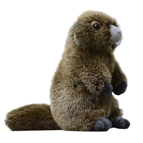 MZICXV Realistisches 24 cm großes Murmeltier, weiches Plüschtier, Geburtstagsgeschenk (Marmota) von MZICXV