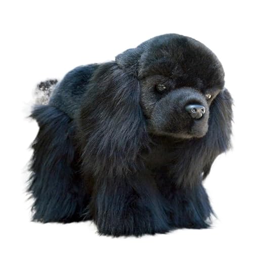 MZICXV Realistisches 26 cm großes Cocker Spaniel-Plüschtier, weicher Stoffhund, Geburtstagsgeschenk (Cocker Spaniel) von MZICXV
