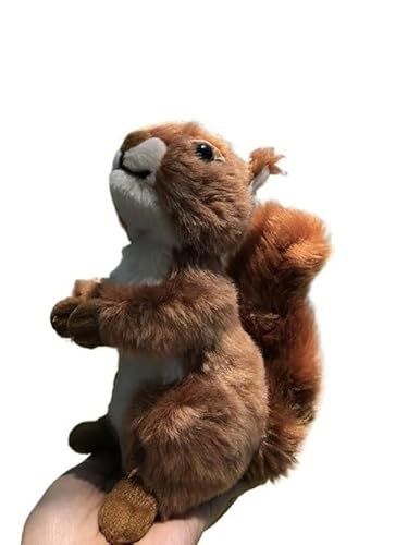 MZICXV Realistisches 26 cm großes Plüsch-Eichhörnchen-Spielzeug, weiches Stofftier, süßes Geburtstagsgeschenk MZICXV Realistisches 26 cm großes Plüsch-Eichhörnchen-Spielzeug, weiches Stofftier, süßes Geburtstagsgeschenk von MZICXV