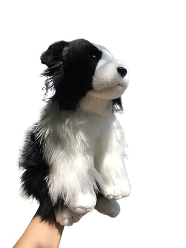 MZICXV Realistisches 30 cm großes Border Collie-Plüschtier, Stofftier, (Border Collie) von MZICXV