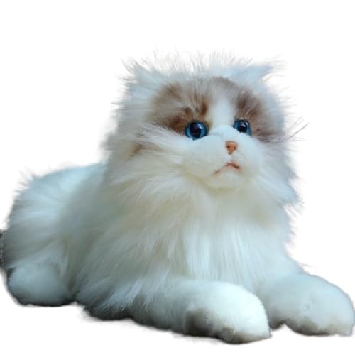 MZICXV Realistisches 36cm Ragdoll Plüschtier, Weiches Stofftier, Geburtstagsgeschenk MZICXV Realistisches 36cm Ragdoll Plüschtier, Weiches Stofftier, Geburtstagsgeschenk von MZICXV