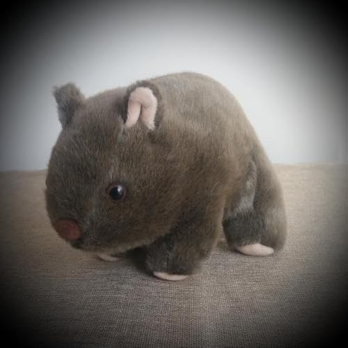 MZICXV Realistisches Wombat-Plüschtier, sitzendes Wombat-Stofftier, weiches australisches Tierplüschtier (Phascolomidae)(25CM) von MZICXV