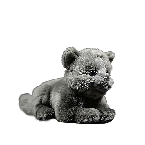 MZICXV Simulation Britisch Kurzhaar Plüschtier Puppe Weiche Süße Kätzchen Puppe Katze MZICXV Simulation Britisch Kurzhaar Plüschtier Puppe Weiche Süße Kätzchen Puppe Katze von MZICXV