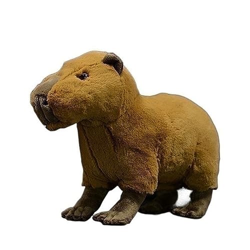 MZICXV Simulation Capybara Plüschtierpuppe, süßes weiches Capybara-Puppengeschenk MZICXV Simulation Capybara Plüschtierpuppe, süßes weiches Capybara-Puppengeschenk von MZICXV