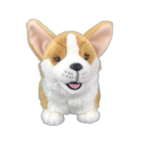 MZICXV Simulation Corgi Hund Plüsch Puppe süße Welpen Hund Puppe weiche und süße Stoff Puppe Dekoration von MZICXV