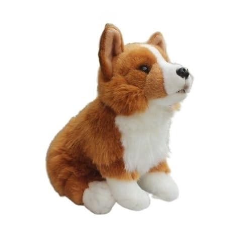 MZICXV Simulation Corgi Plüschpuppe Welsh Corgi Plüschtier Weicher und süßer Begleiter Geschenk Heimdekoration von MZICXV
