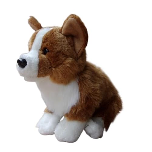 MZICXV Simulation Corgi Plüschtier Hundepuppe Kurzbeinige Corgi Puppe Weiches und süßes Puppengeschenk MZICXV Simulation Corgi Plüschtier Hundepuppe Kurzbeinige Corgi Puppe Weiches und süßes Puppengeschenk von MZICXV