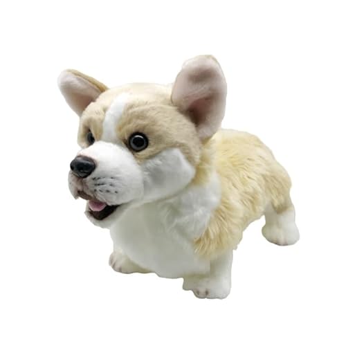 MZICXV Simulation Corgi Plüschtier Welsh Corgi Stoffpuppe Weicher und süßer Kinderbegleiter Geschenk Heimdekoration MZICXV Simulation Corgi Plüschtier Welsh Corgi Stoffpuppe Weicher und süßer Kinderbegleiter Geschenk Heimdekoration von MZICXV
