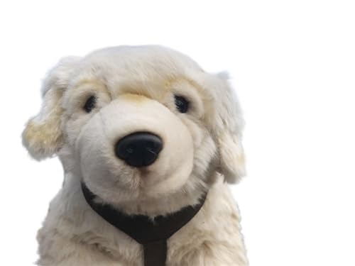 MZICXV Simulation Golden Retriever Husky Plüschtier Welpe Tier Plüschpuppe Weich und niedlich Frühe Bildung Geschenk Heimdekoration(Beige) von MZICXV